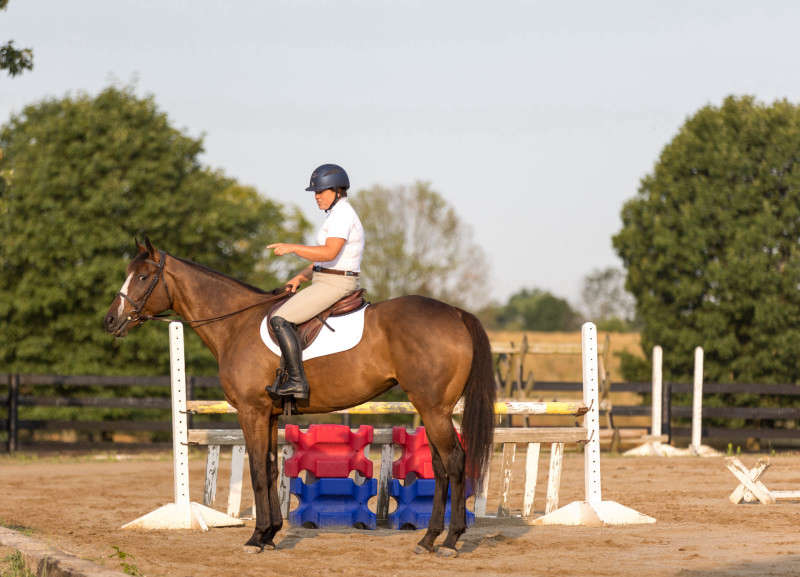 Horse and Rider photograph