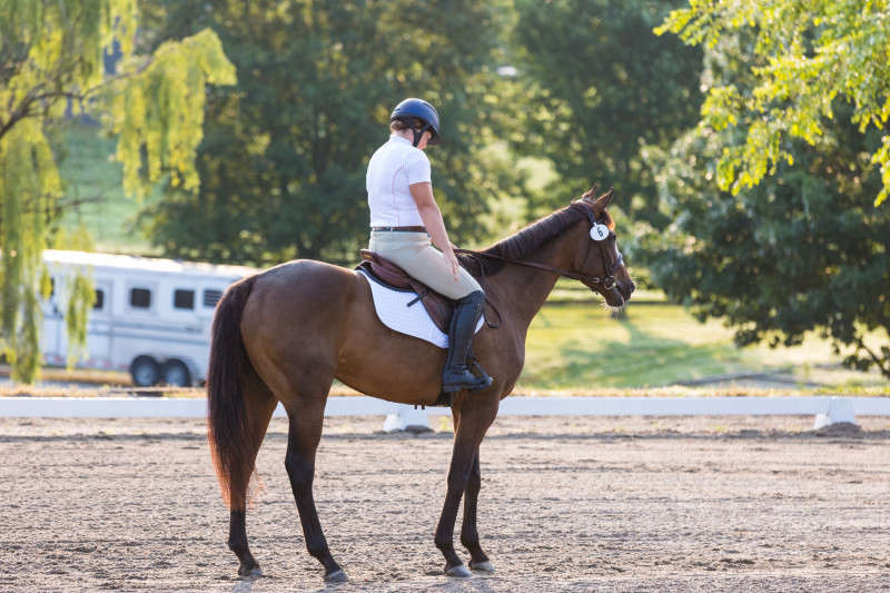 Horse and Rider dressage photograph