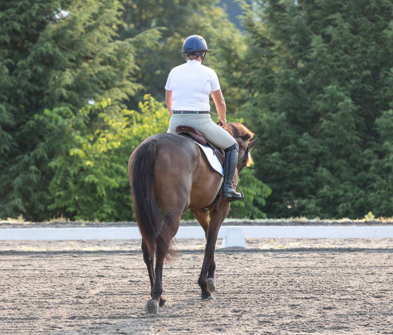 Horse and rider dressage photograph