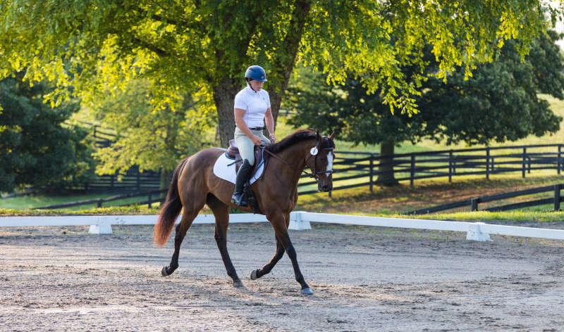 Horse and Rider dressage photograph