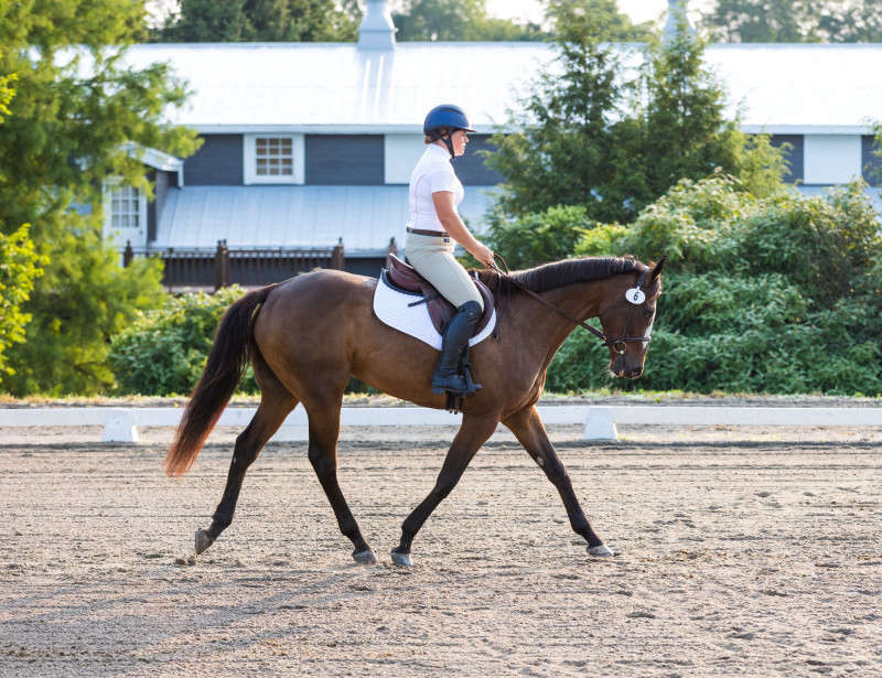 Horse and Rider dressage photograph