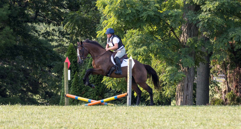 Horse and Rider cross country photograph