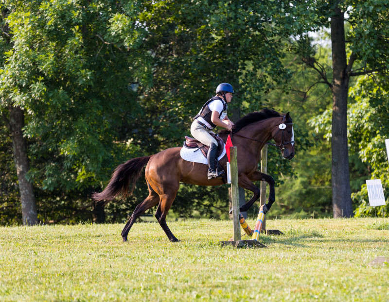 Horse and Rider cross country photograph