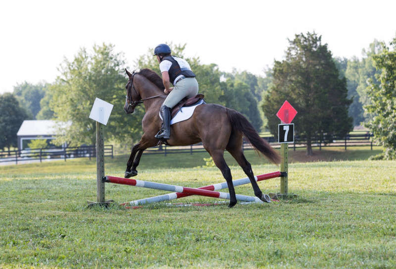 Horse and Rider cross country photograph