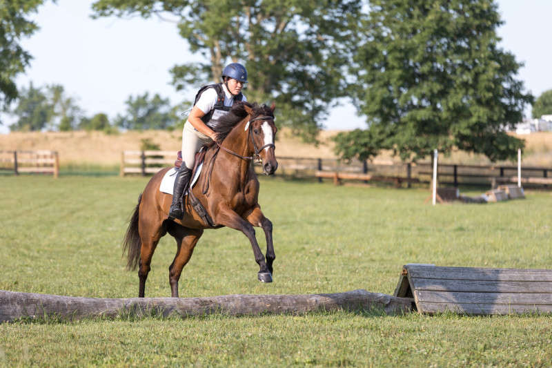 Horse and Rider cross country photograph