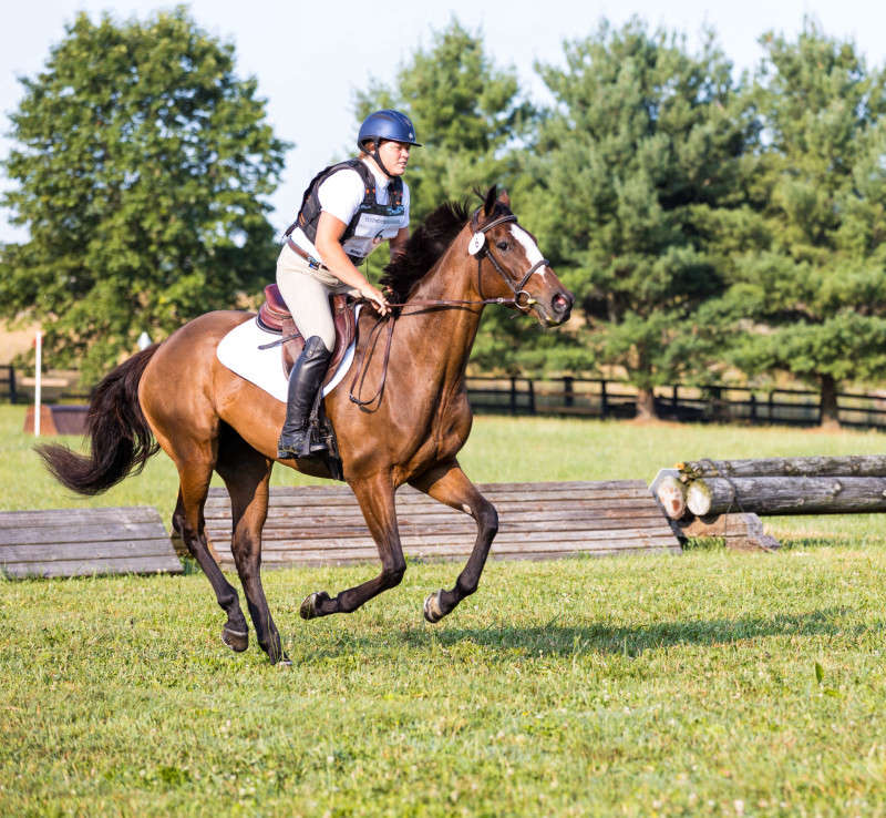 Horse and Rider cross country photograph