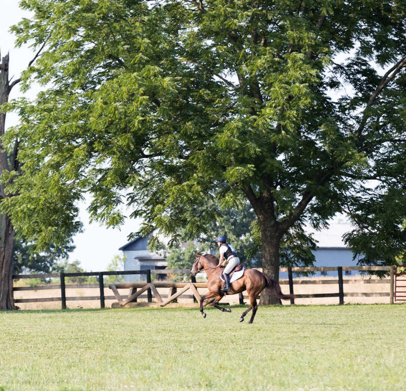 Horse and Rider cross country photograph