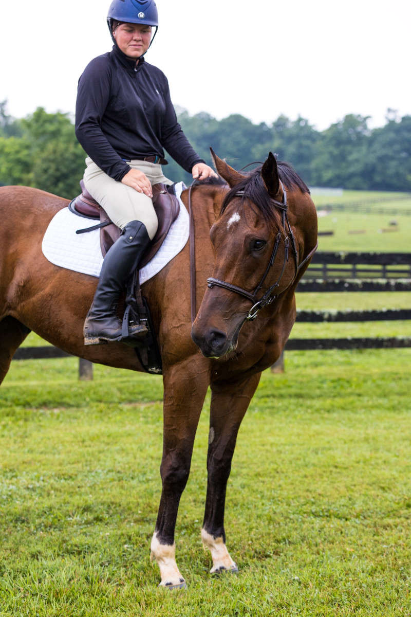 Horse and Rider photograph