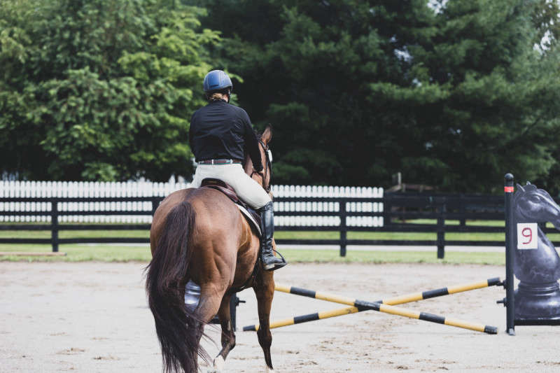 Horse and Rider dressage photograph