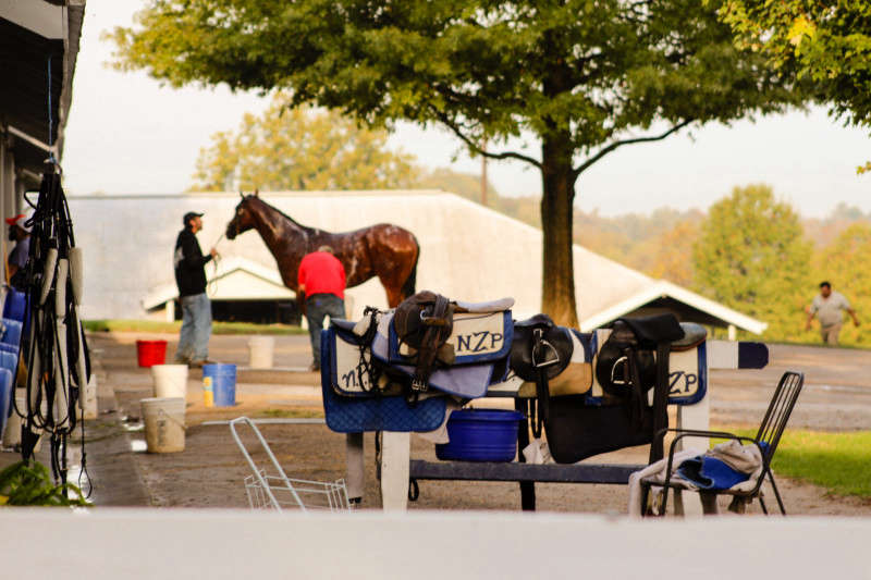 show grounds photograph